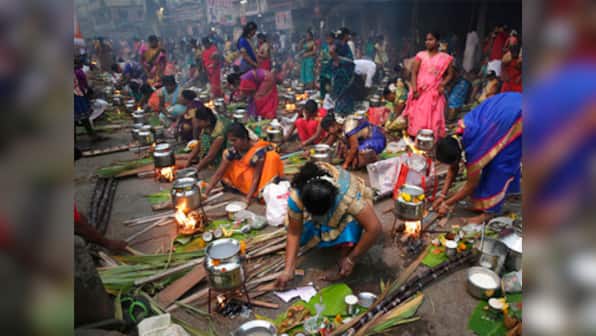 Tamil Nadu celebrates Pongal with fervour; Ram Nath Kovind, Narendra Modi take to Twitter to mark harvest festival