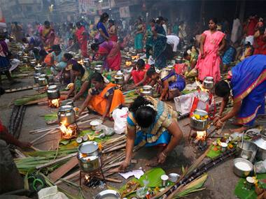 Tamil Nadu celebrates Pongal with fervour; Ram Nath Kovind, Narendra Modi take to Twitter to mark harvest festival