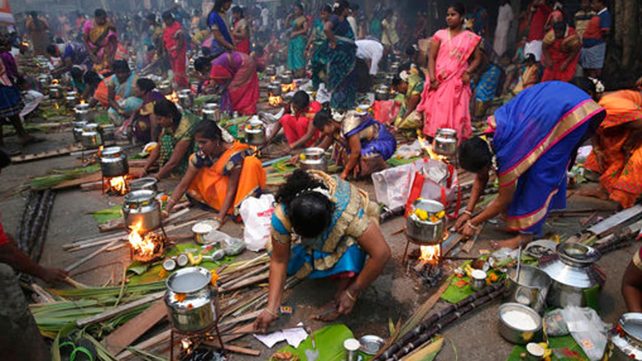 Tamil Nadu celebrates Pongal with fervour; Ram Nath Kovind, Narendra ...