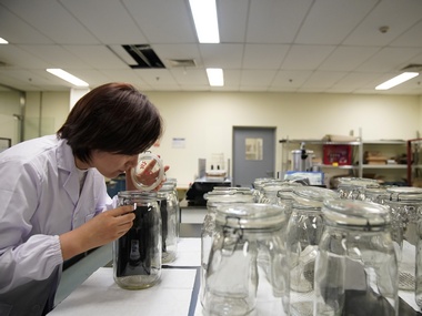 Biogen scraps two Alzheimer drug trials; wipes $18 billion from market value as shares fell nearly 30% Biogen scraps two Alzheimer drug trials; wipes $18 billion from market value as shares fell nearly 30%