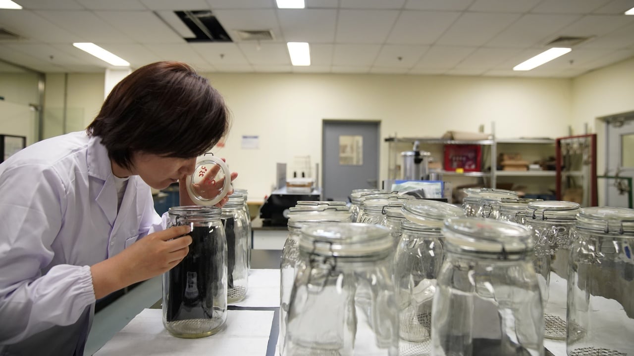Medical journal The Lancet retracts papers on experimental windpipe graft