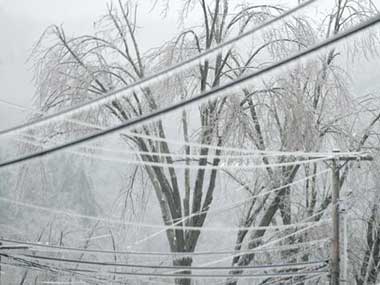 'Sunshine State' Florida experiences snow after 29 years as US East Coast reels under deep freeze 'Sunshine State' Florida experiences snow after 29 years as US East Coast reels under deep freeze