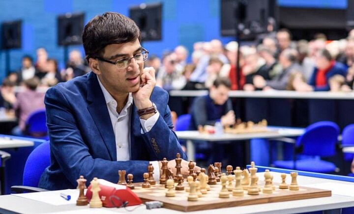Tata Steel Chess Round 8: Anish Giri stuns Shakhriyar Mamedyarov to go joint top; Viswanathan Anand plays out draw