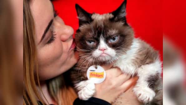 Rejoice, Grumpy Cat: Internet sensation wins $710,000 payout in copyright battle with beverage company
