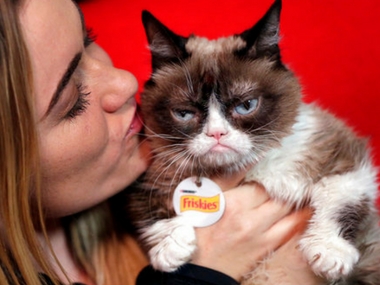 Rejoice, Grumpy Cat: Internet sensation wins $710,000 payout in copyright battle with beverage company Rejoice, Grumpy Cat: Internet sensation wins $710,000 payout in copyright battle with beverage company