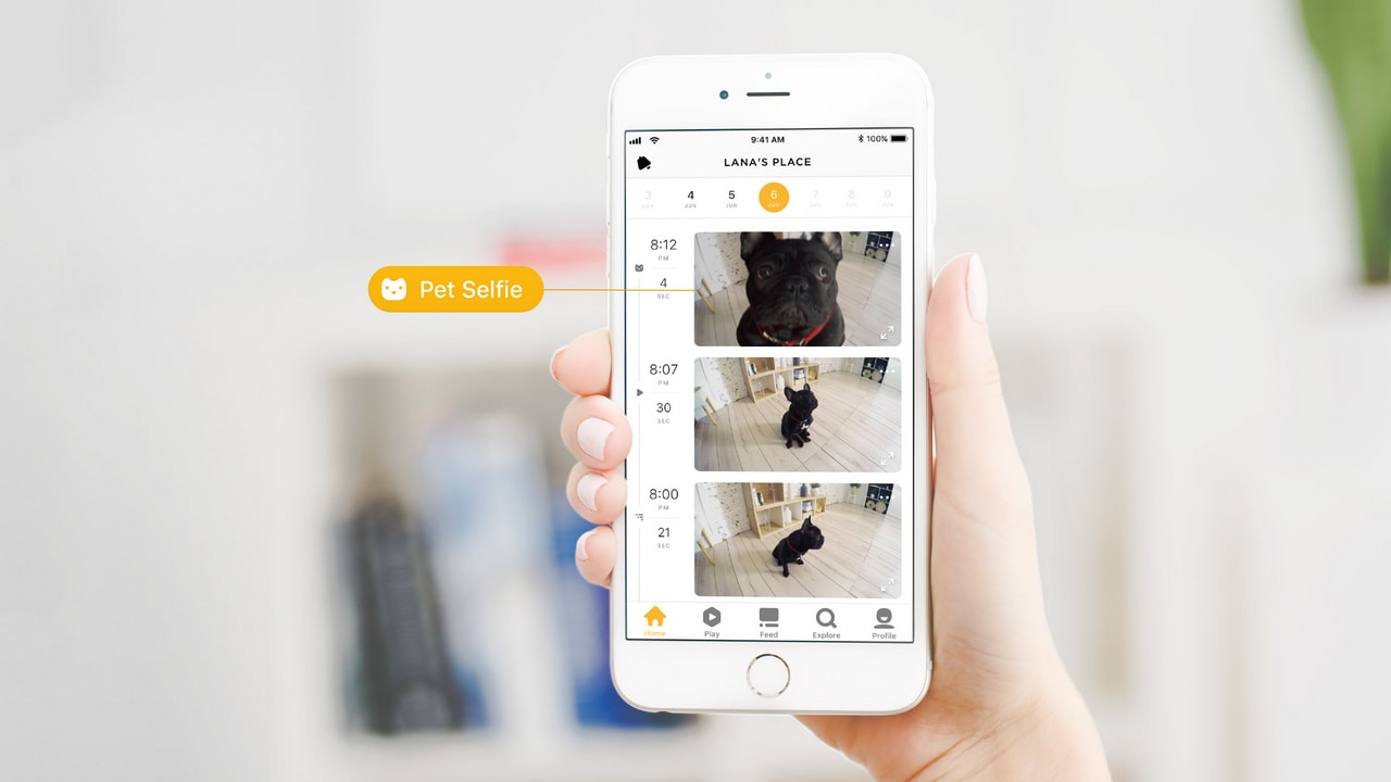 Image: Petcube