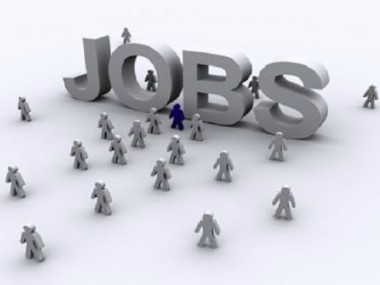 Youth in India prefer a government job and the security attached to it, shows survey Youth in India prefer a government job and the security attached to it, shows survey