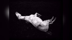 Meanwhile On Instagram: Siddhartha Hajra's photos highlight the poetic in the everyday
