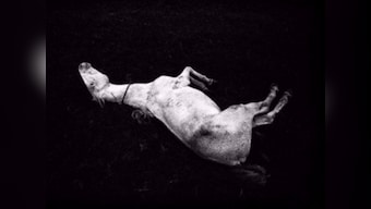 Meanwhile On Instagram: Siddhartha Hajra's photos highlight the poetic in the everyday