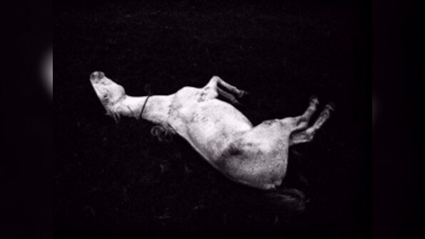 Meanwhile On Instagram: Siddhartha Hajra's photos highlight the poetic in the everyday