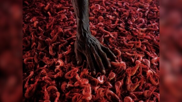 Hyderabad-based seminary issues fatwa against prawns, asks Muslims to avoid eating them