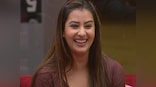 Bigg Boss 11 winner Shilpa Shinde joins Congress, snubs MNS for focusing only on 'Marathi-speaking people'