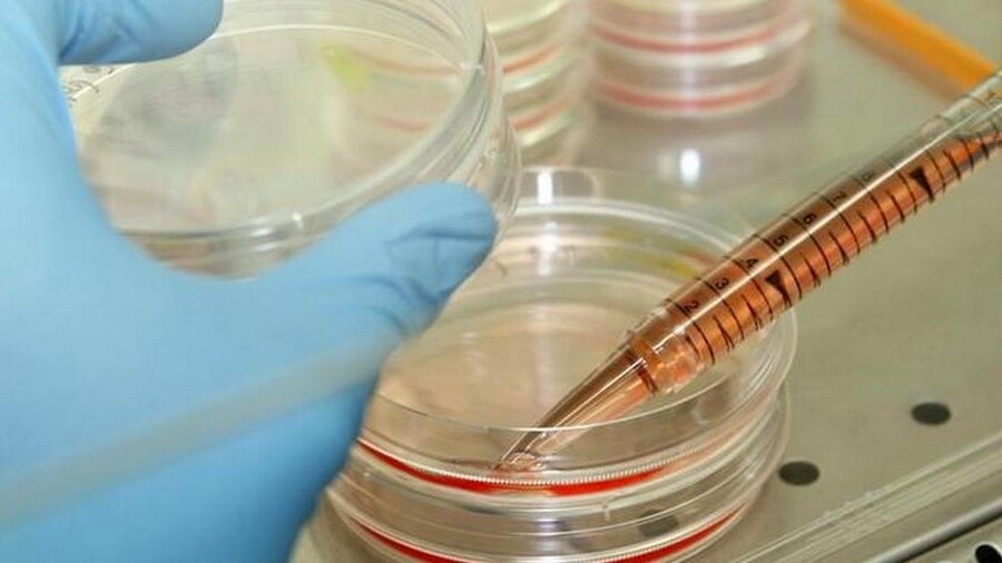 A researcher works in his laboratory at the Institute for Stem cell Therapy and Exploration of Monogenic Diseases (I-Stem). Image: Reuters