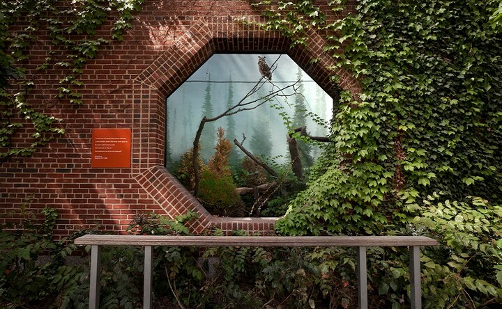 JaipurPhoto 2018: Asmita Parelkar's Giraffe Behind The Door looks at how zoos replicate nature