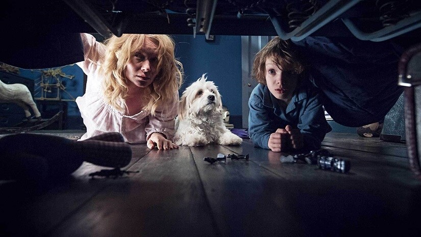 A widowed mother and her young son are menaced by a malevolent children's book monster in The Babadook.