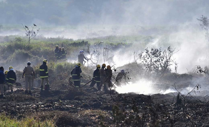 After Cape Town, Bengaluru set to face major water crisis: Atrocious state of Bellandur Lake a result of apathy by authorities After Cape Town, Bengaluru set to face major water crisis: Atrocious state of Bellandur Lake a result of apathy by authorities