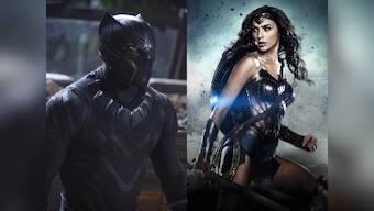 After Black Panther, Wonder Woman success, more diverse films should be made: Head of National Association of Theatre Owners