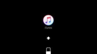 A single Telugu character sent to your iOS device can cause your phone to crash and cost you your data