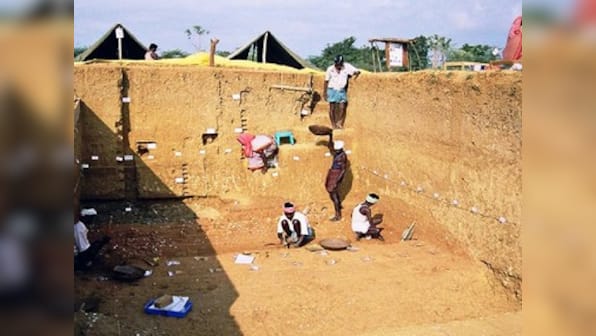 Ancient stone age tools found in Tamil Nadu suggest reframing of ‘Out of Africa’ theories