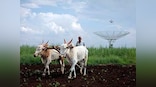 Allocation for agriculture must signal change in favour of science, tech, private investments