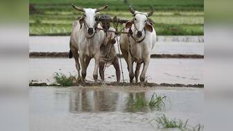Budget 2019: Govt likely to overshoot fertiliser subsidy bill by Rs 30,000 cr, banks may chip in, says report