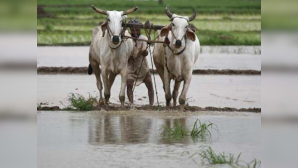 Water crisis in India could further worsen bank NPA problem in power and agriculture sector: World Wildlife Fund report