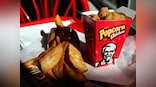 Chickening out: KFC shuts hundreds of outlets across Britain following chicken shortage