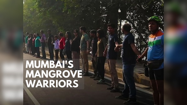 Mumbai's Mangrove Warriors: Meet the citizens who're working to reclaim city's lost mangroves