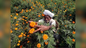 Farmers body calls Union Budget 2018 anti-farmer, pro-corporate; alleges govt manipulated input cost figures