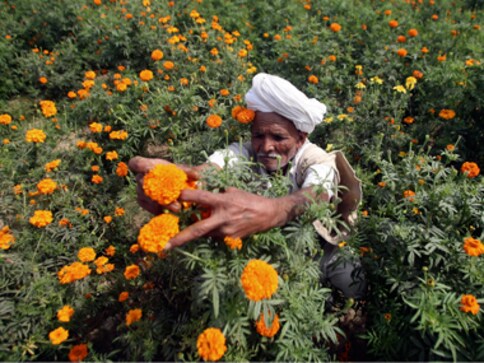 Farmers body calls Union Budget 2018 anti-farmer, pro-corporate; alleges govt manipulated input cost figures Farmers body calls Union Budget 2018 anti-farmer, pro-corporate; alleges govt manipulated input cost figures