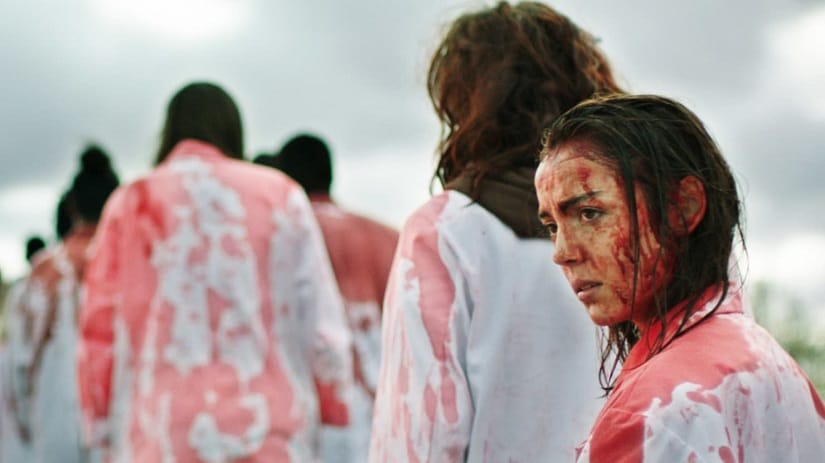 Julia Ducournau's Raw blends cannibalism and coming-of-age tales in a provocative horror film.
