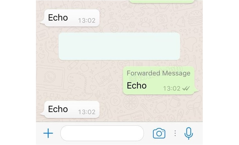 WhatsApp forwarded message iOS