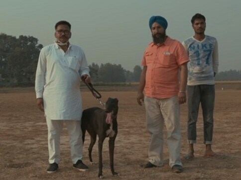 Watch: A deep dive into the machismo-driven world of greyhound racing in Punjab Watch: A deep dive into the machismo-driven world of greyhound racing in Punjab