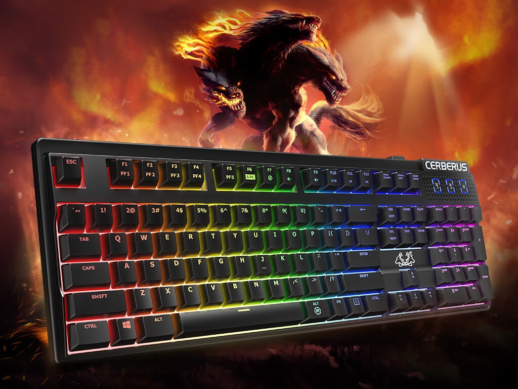 The keyboard features RGB backlit mechanical keys