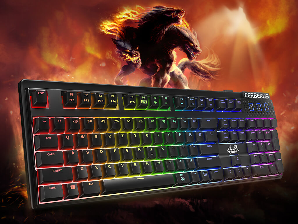 ASUS Cerberus mechanical keyboard review: Surprisingly good value ASUS Cerberus mechanical keyboard review: Surprisingly good value