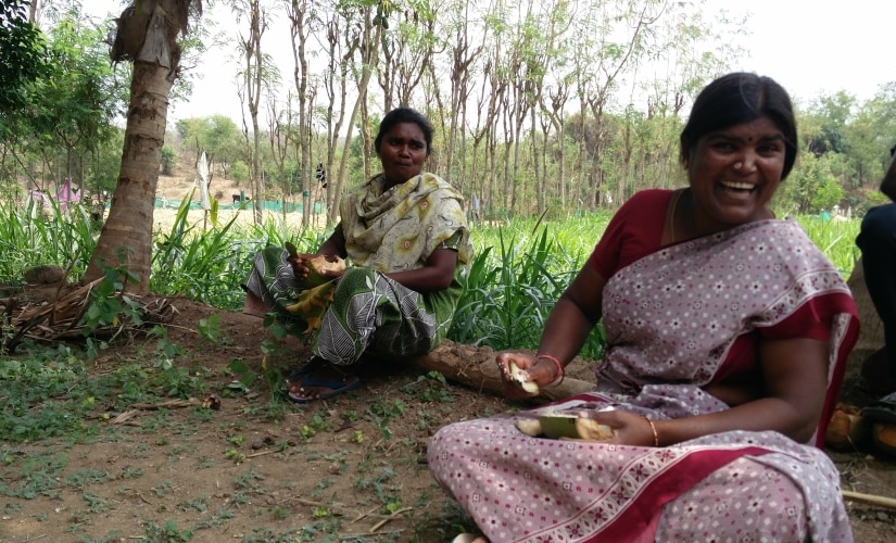 Palaniammal and Jayalakshmi from Athukottai take a break for tender coconut grown in their fields. Karthikeyan Hemalatha