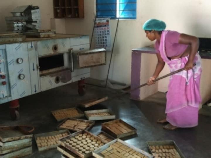 12.8% landholding, 90% work: Tamil Nadu women battle patriarchy while shouldering dual burden of housework, farming