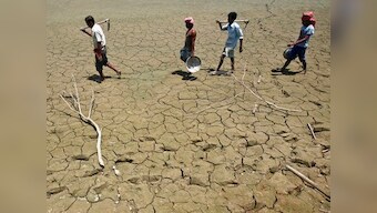New govt to focus on land, labour reforms, export promotion and privatisation: Goldman Sachs