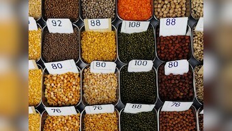 India on track to become self-sufficient in pulses production: Agriculture Minister Narendra Singh Tomar