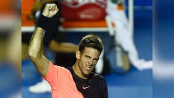 Mexican Open: Juan Martin del Potro sets up title clash against Kevin Anderson; reigning champ Lesia Tsurenko into final