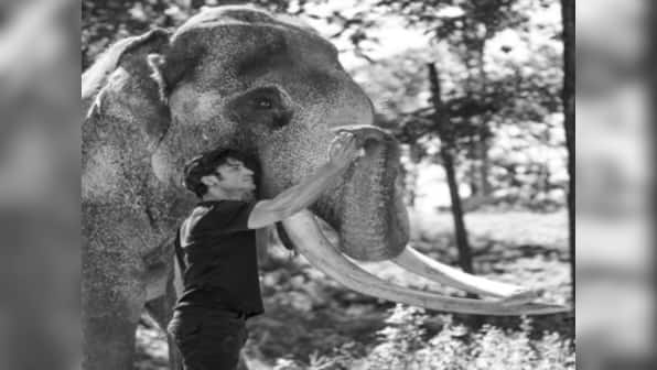 Vidyut made a new friend while shooting for Junglee