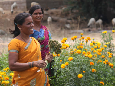 International Women's Day: Patriarchy, market-driven economy undermine crucial role of women in Indian agriculture International Women's Day: Patriarchy, market-driven economy undermine crucial role of women in Indian agriculture