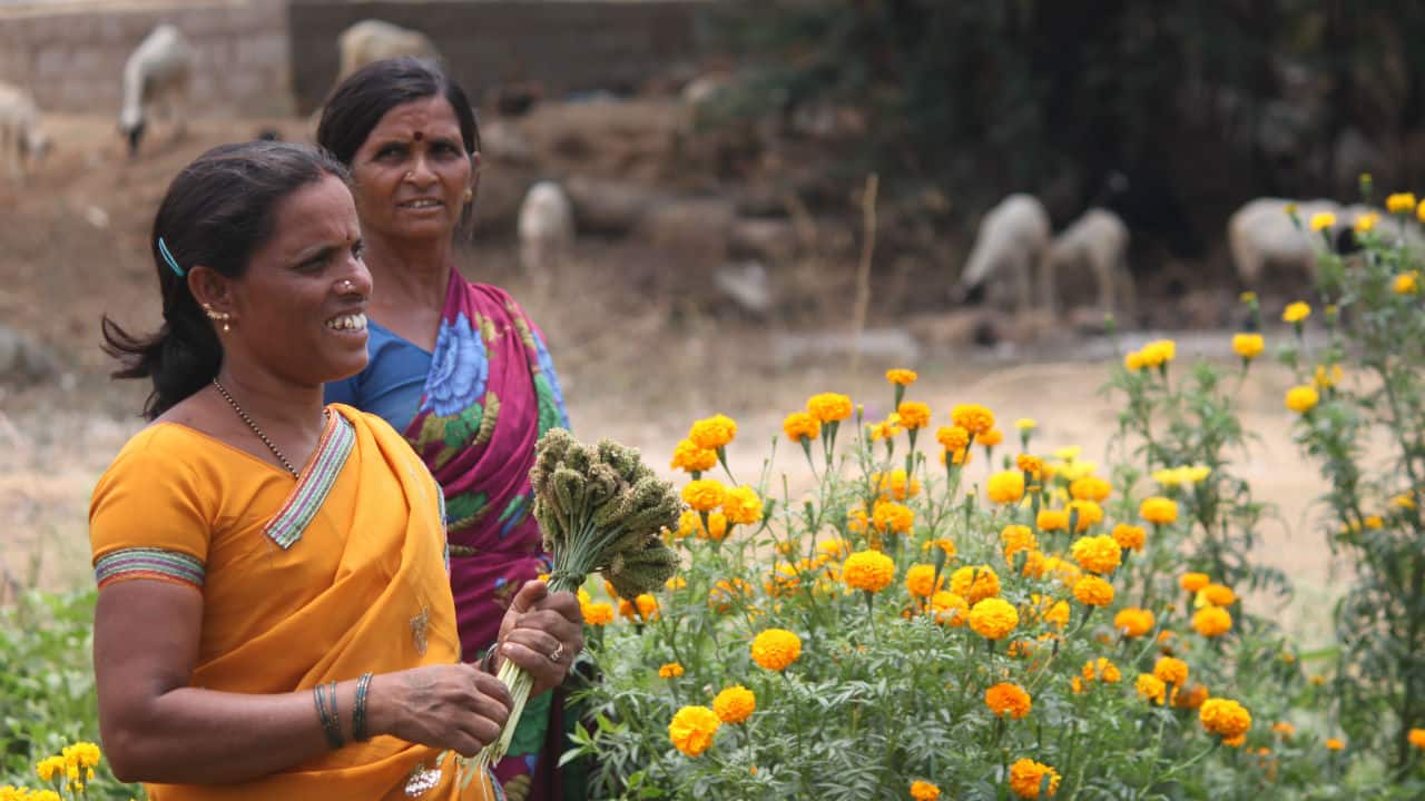 International Women s Day Patriarchy Market driven Economy Undermine Crucial Role Of Women In 