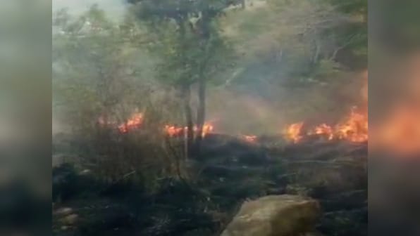 Kerala temporarily bans trekking in forest areas after Theni fire incident in Tamil Nadu