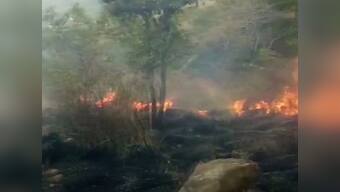 Theni forest fire nothing short of man-made disaster; multitude of human errors likely behind tragedy that killed nine trekkers