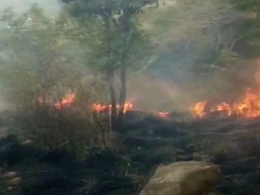 Theni forest fire claims 9 lives, 27 rescued: IAF completes search operations; Tamil Nadu govt orders probe Theni forest fire claims 9 lives, 27 rescued: IAF completes search operations; Tamil Nadu govt orders probe