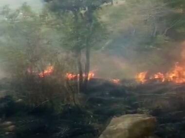 Theni forest fire nothing short of man-made disaster; multitude of human errors likely behind tragedy that killed nine trekkers