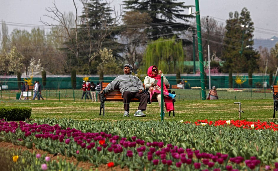 Visitors throng Asia's largest tulip garden in Srinagar; more than 12 lakh tulips in various hues sown