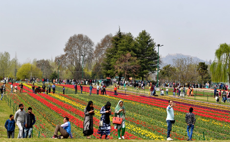 Visitors throng Asia's largest tulip garden in Srinagar; more than 12 lakh tulips in various hues sown