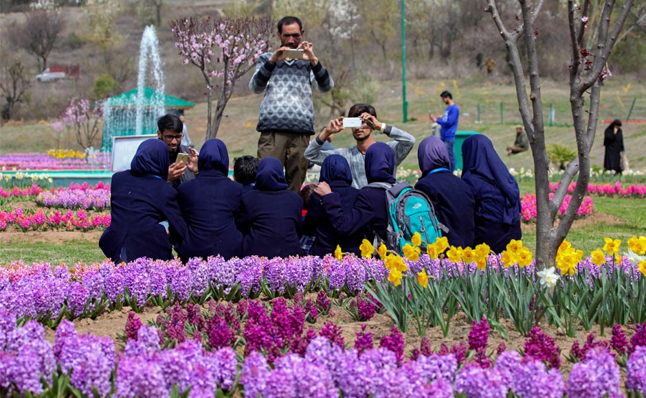 Visitors throng Asia's largest tulip garden in Srinagar; more than 12 lakh tulips in various hues sown